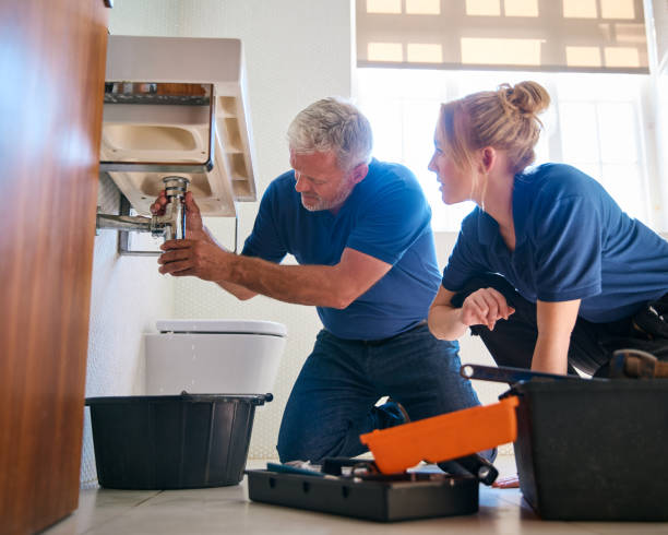 Best Plumbing Installation Services  in Afton, MN